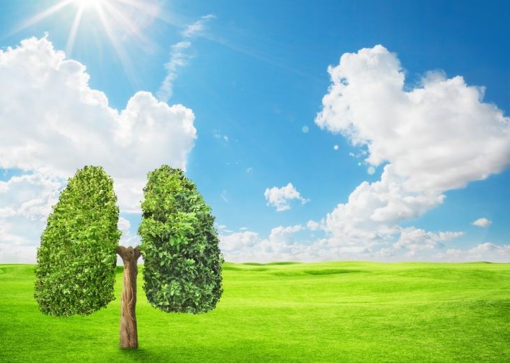 Symboliczny obraz - drzewo z liśćmi w kształcie płuc - w tle łąka i niebieskie niebo