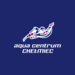 Logo Aquacentrum Chełmiec - witraż pływaka