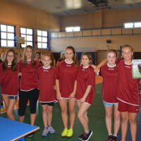 Zdjęcie ilustracyjne wiadomości: Mistrzostwa Gminy Chełmiec  w halowej piłce nożnej  Gimnazjów dziewcząt #28