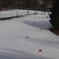 Zdjęcie ilustracyjne wiadomości: Mistrzostwa Gminy Chełmiec szkół podstawowych oraz gimnazjum w narciarstwie zjazdowym #10