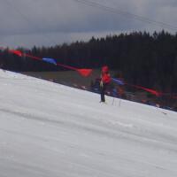 Zdjęcie ilustracyjne wiadomości: Mistrzostwa Gminy Chełmiec szkół podstawowych oraz gimnazjum w narciarstwie zjazdowym #12