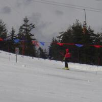 Zdjęcie ilustracyjne wiadomości: Mistrzostwa Gminy Chełmiec szkół podstawowych oraz gimnazjum w narciarstwie zjazdowym #13