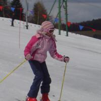 Zdjęcie ilustracyjne wiadomości: Mistrzostwa Gminy Chełmiec szkół podstawowych oraz gimnazjum w narciarstwie zjazdowym #18