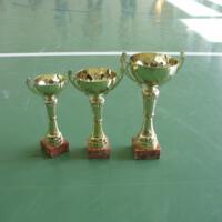 Zdjęcie ilustracyjne wiadomości: Mistrzostwa Gminy Chełmiec w halowej piłce nożnej klas IV szkół podstawowych #12